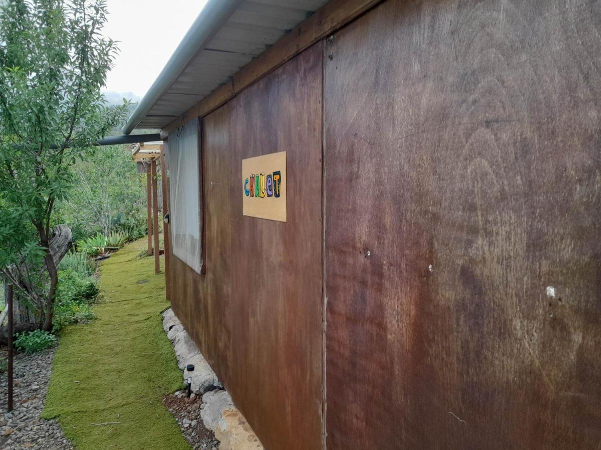 Arecida Abracaribes B&B 외부 사진