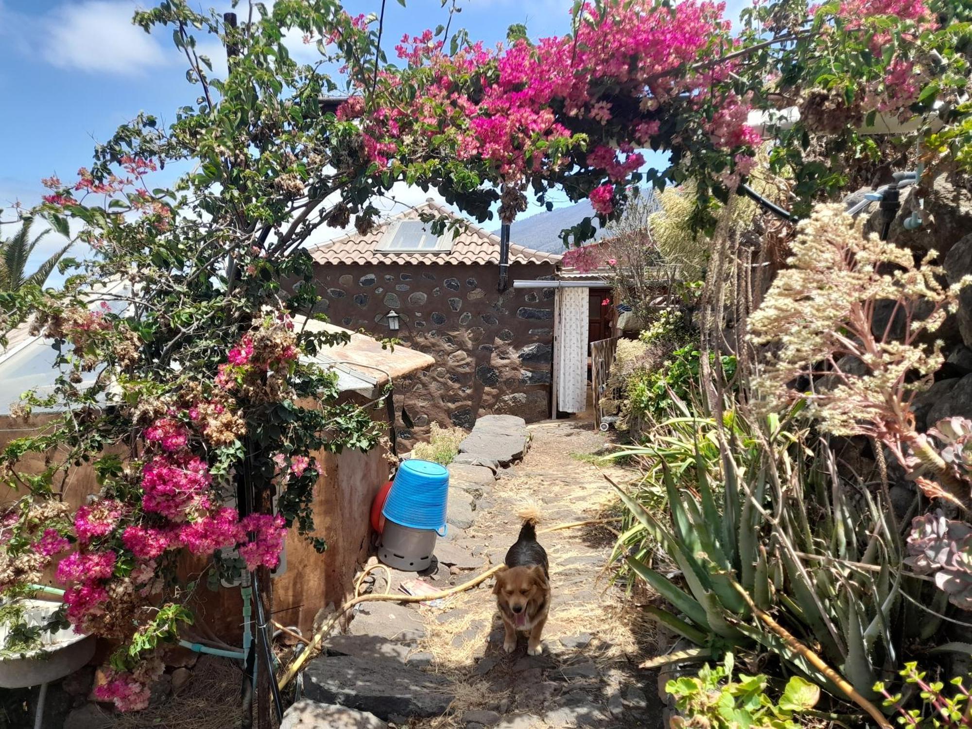 Arecida Abracaribes B&B 외부 사진