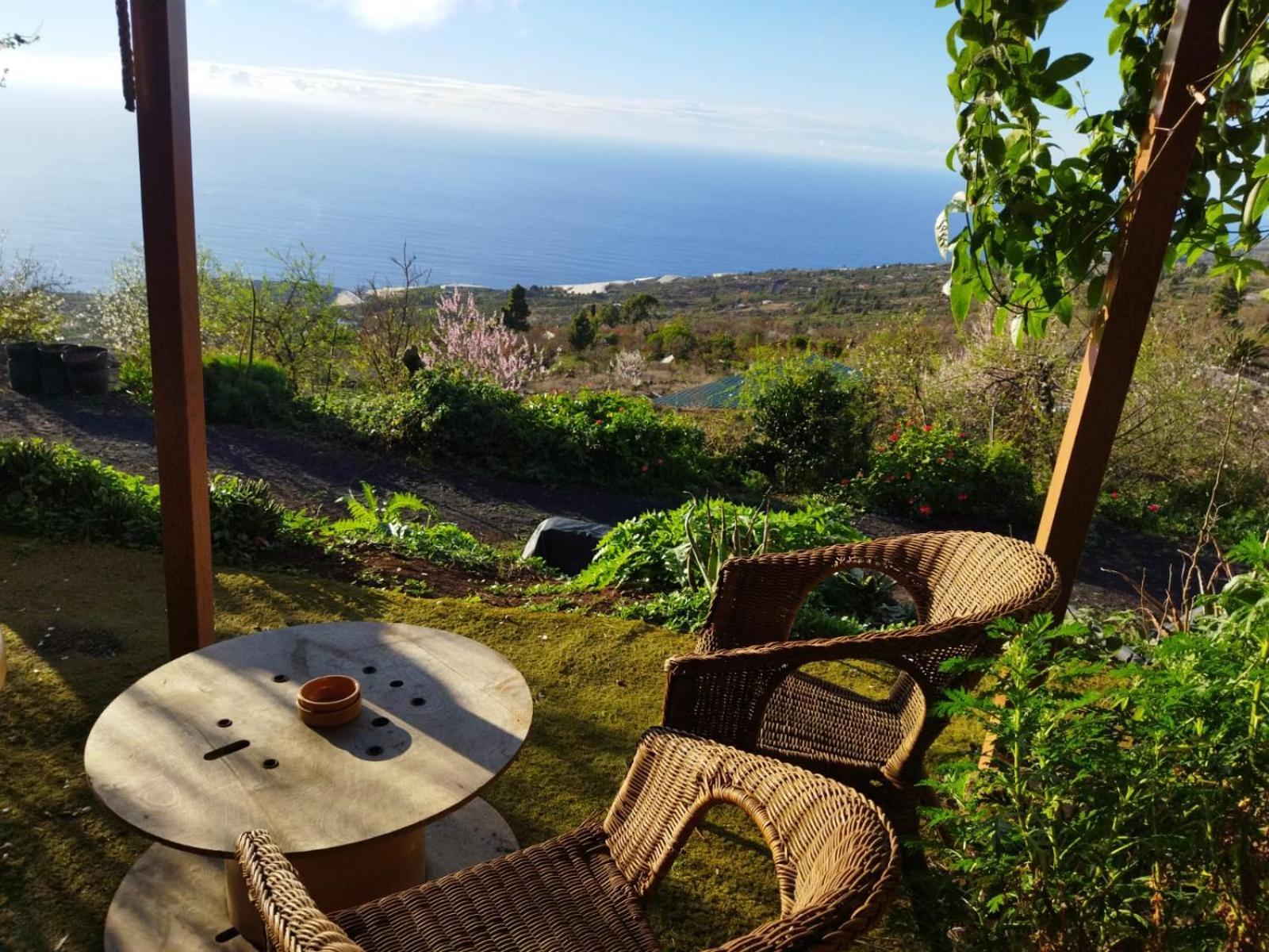 Arecida Abracaribes B&B 객실 사진