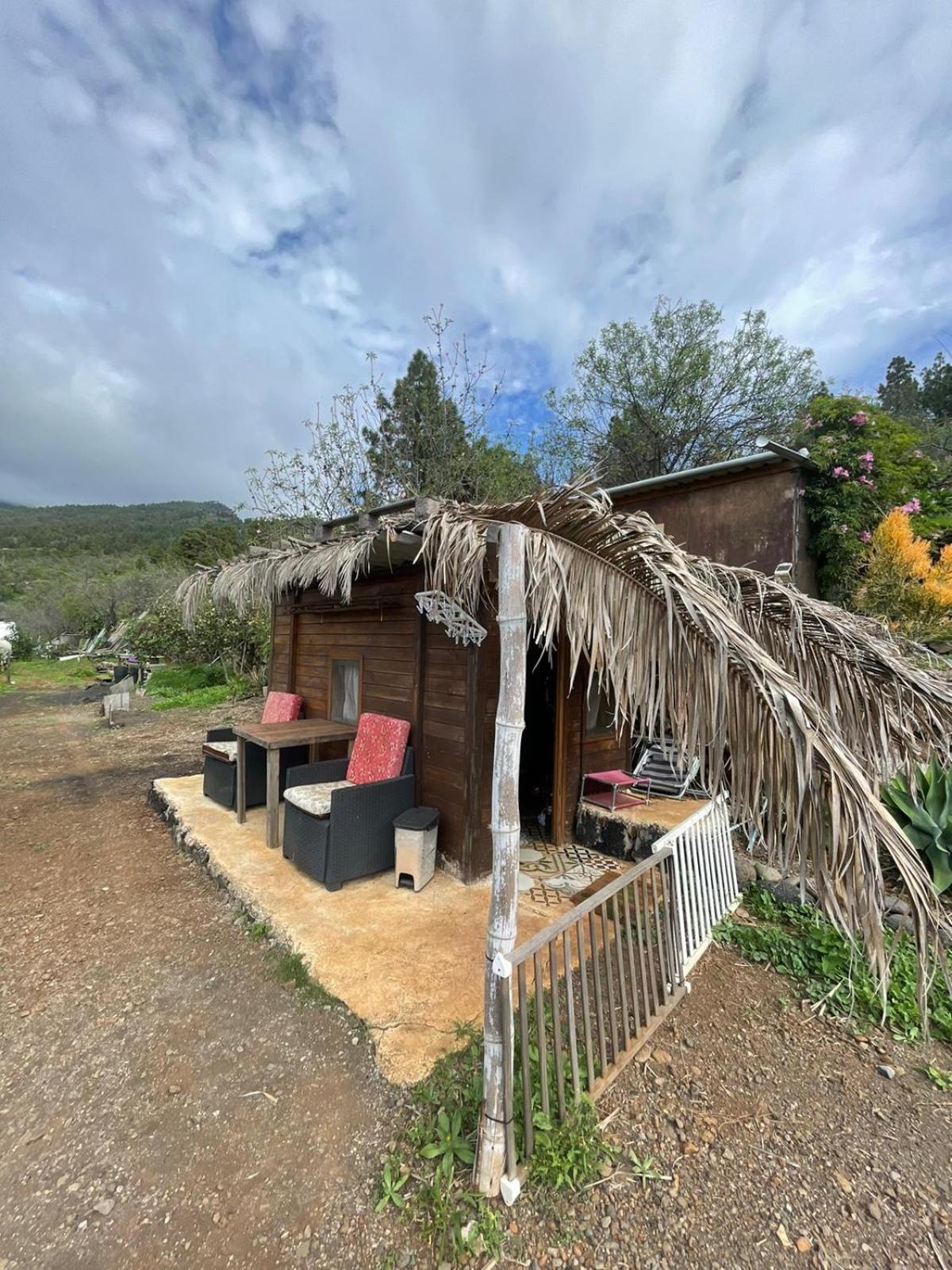 Arecida Abracaribes B&B 외부 사진