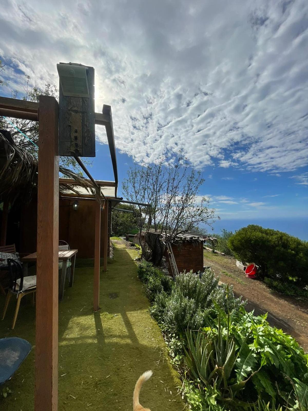 Arecida Abracaribes B&B 외부 사진