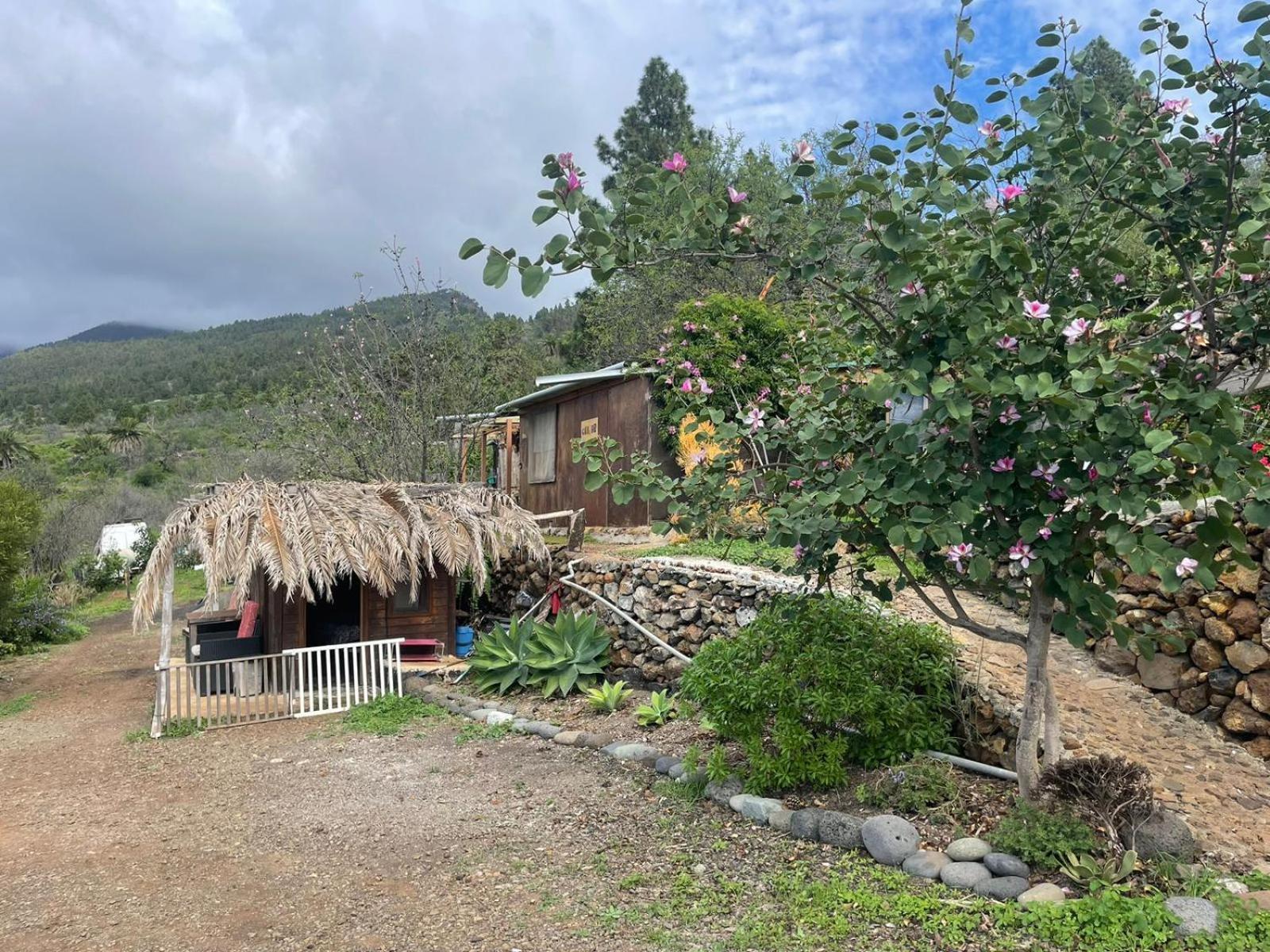 Arecida Abracaribes B&B 외부 사진