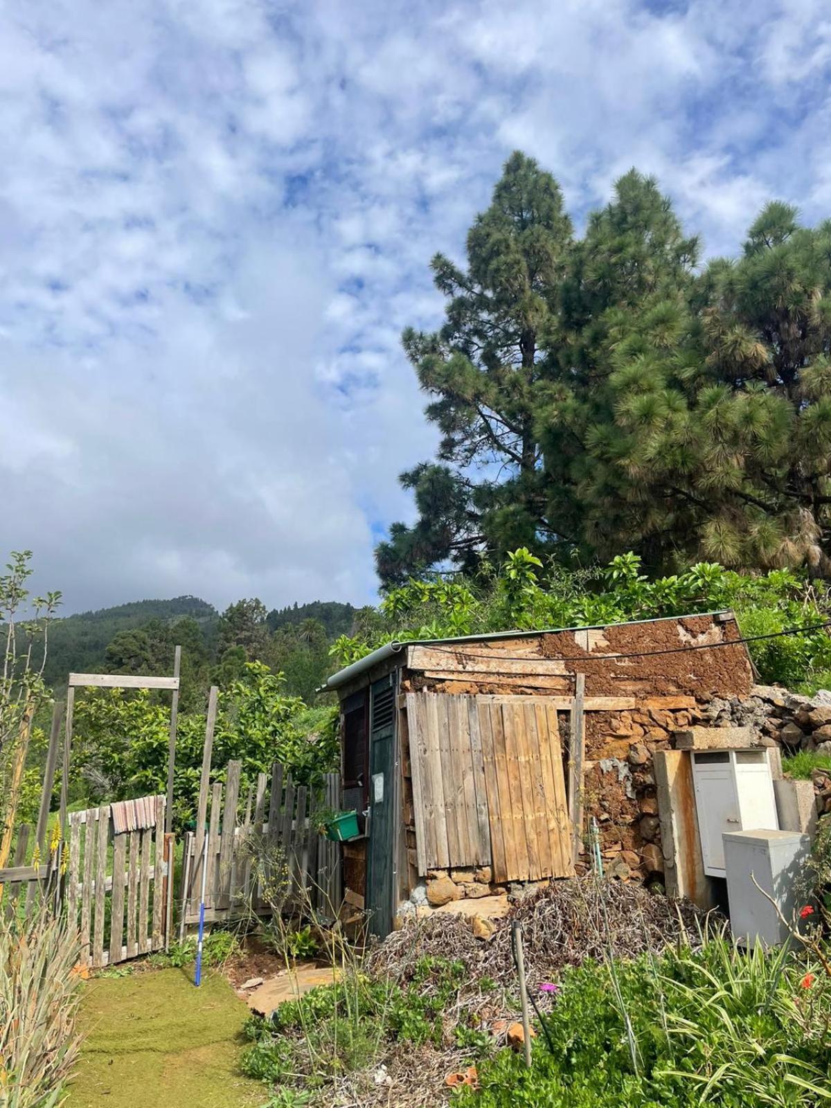 Arecida Abracaribes B&B 외부 사진