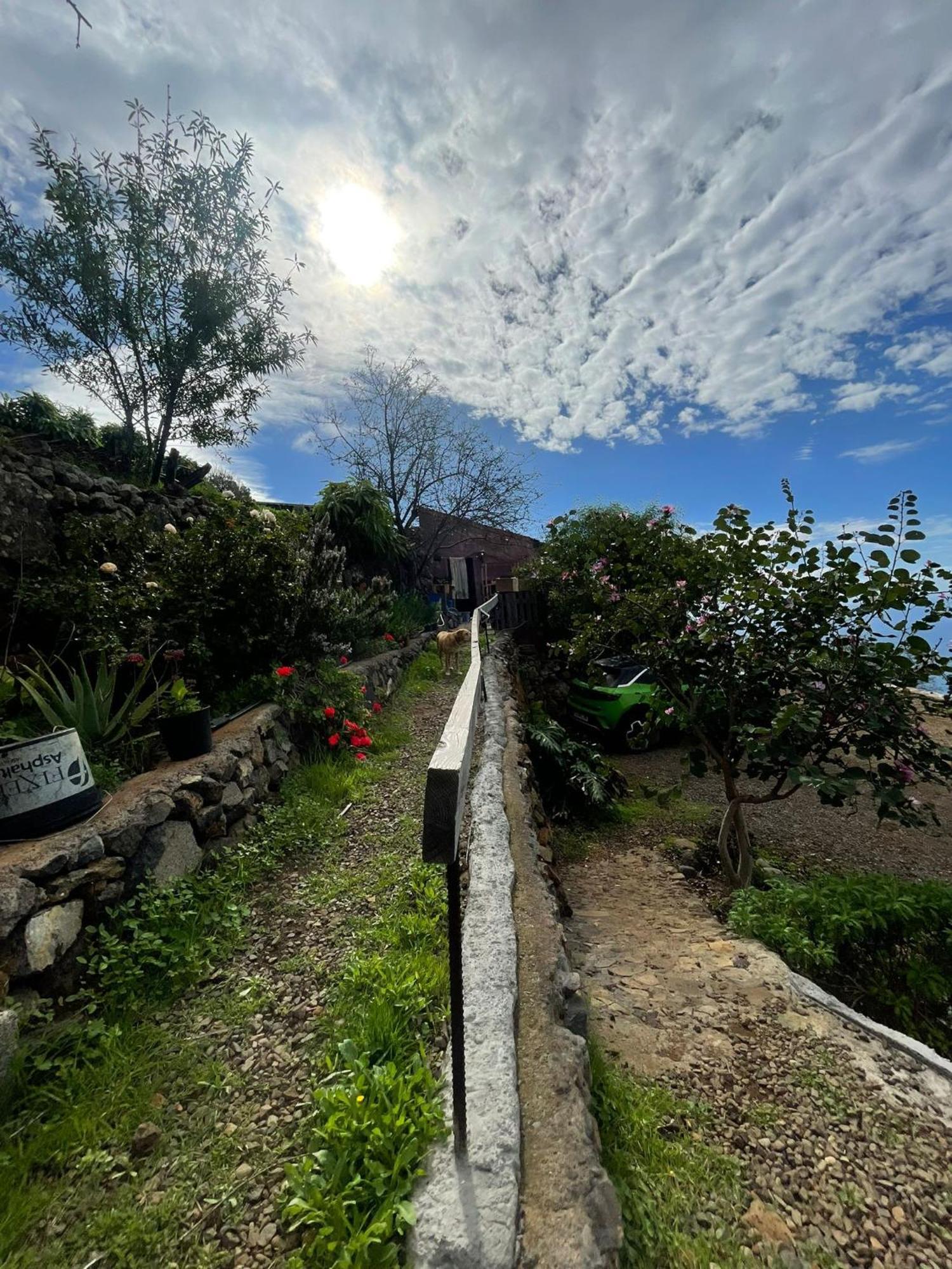 Arecida Abracaribes B&B 외부 사진