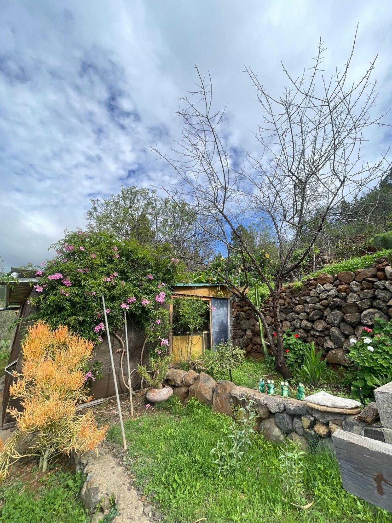 Arecida Abracaribes B&B 외부 사진