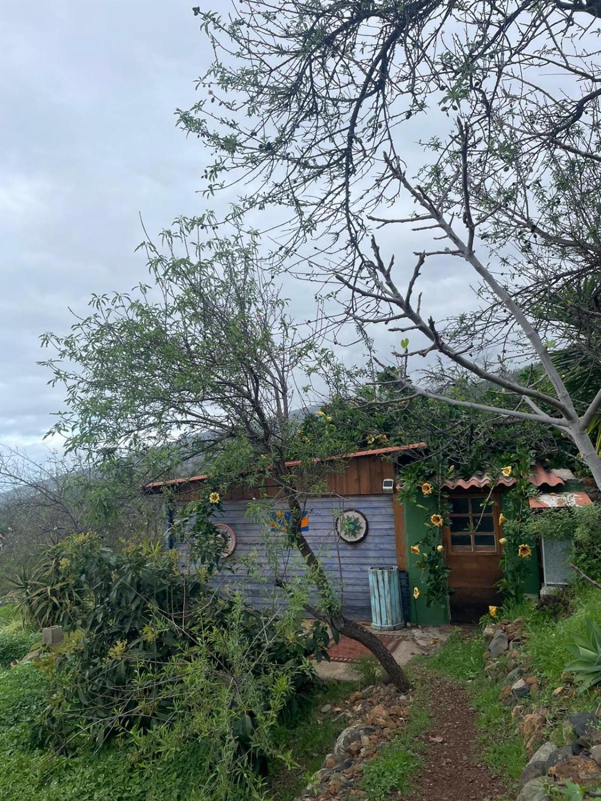 Arecida Abracaribes B&B 외부 사진