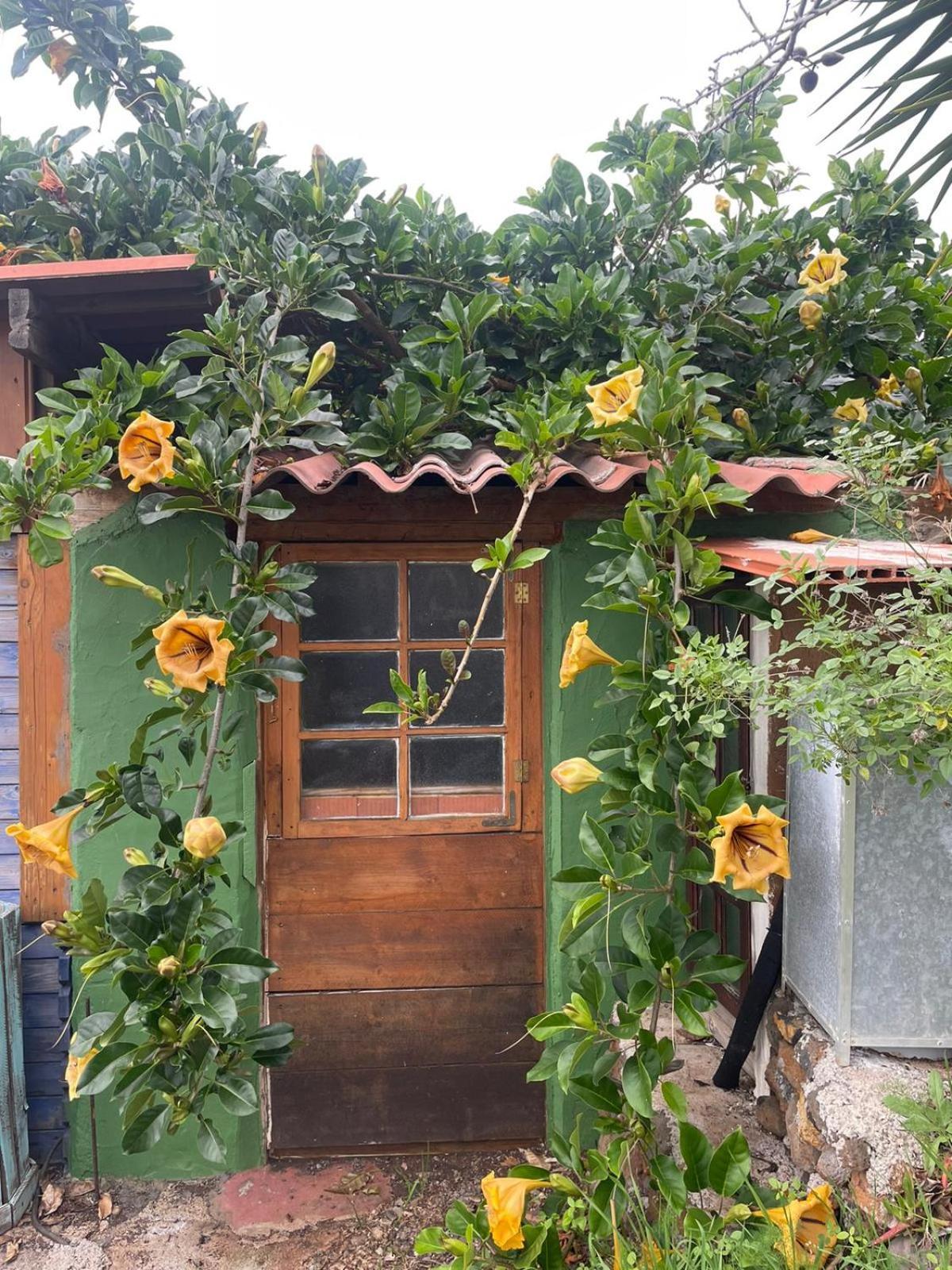 Arecida Abracaribes B&B 외부 사진