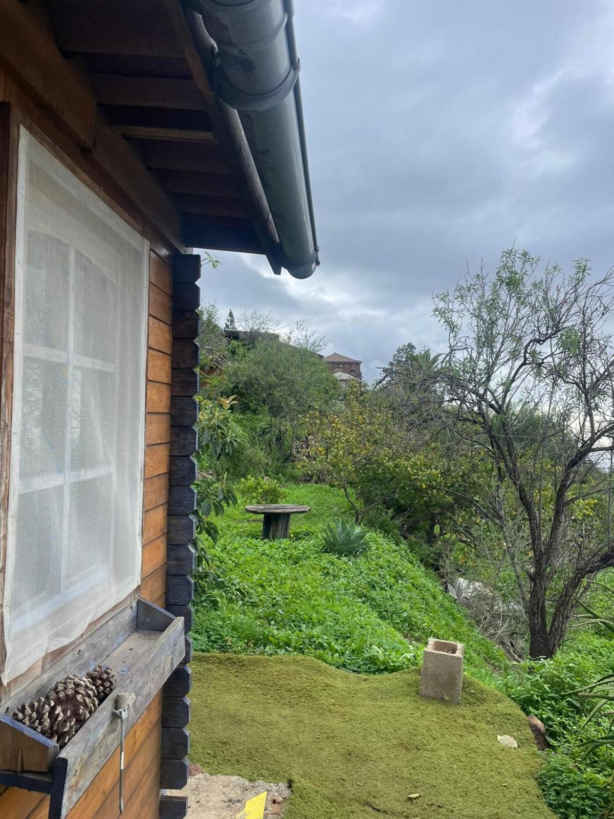 Arecida Abracaribes B&B 외부 사진