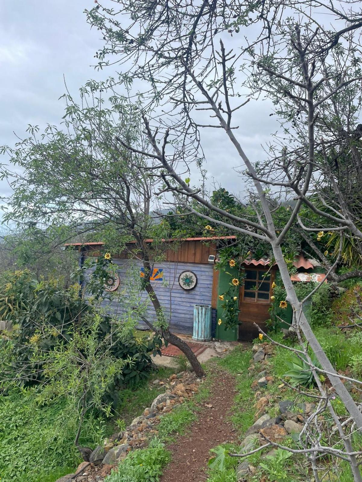 Arecida Abracaribes B&B 외부 사진